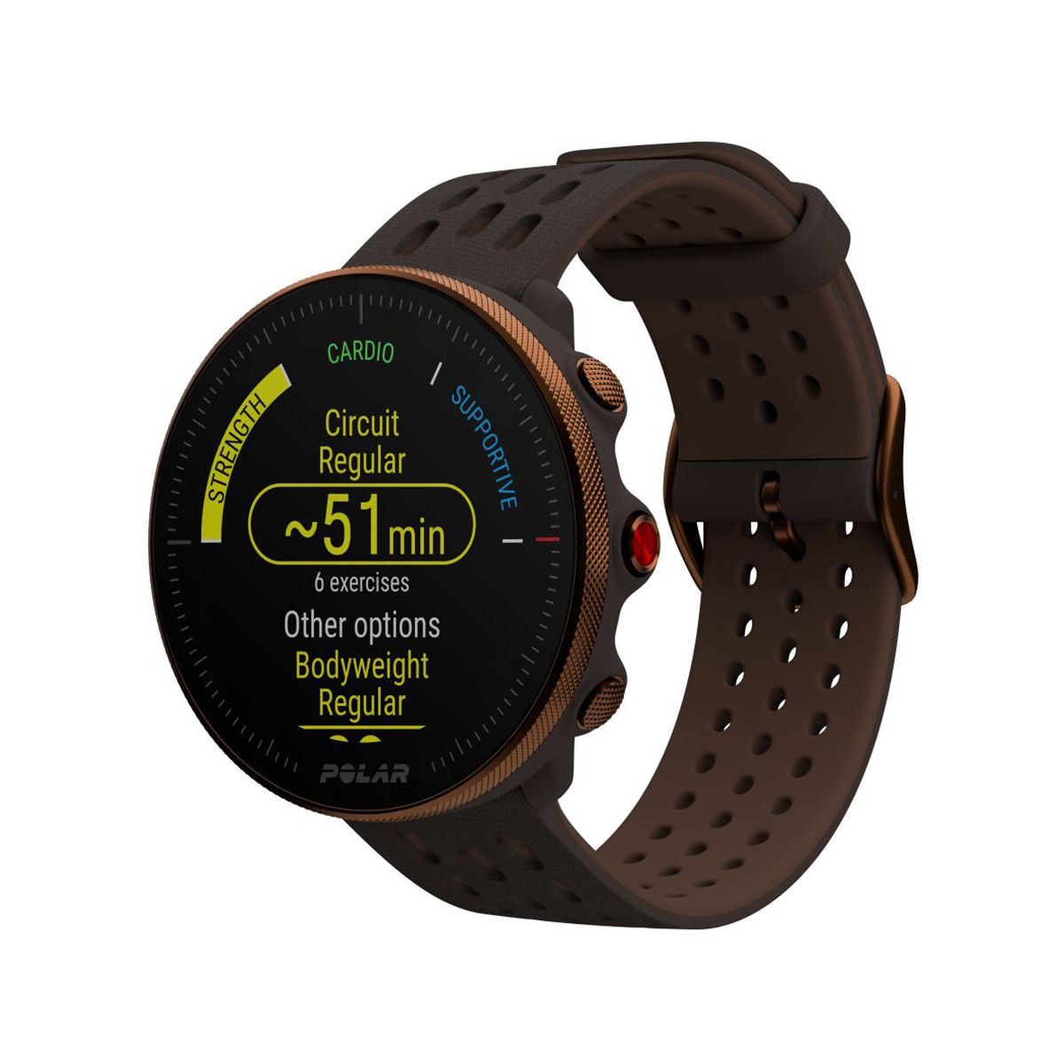 Gps hot sale polar vantage